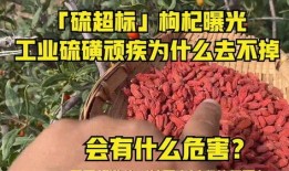枸杞硫磺爆料视频大全集,视频大全集深度剖析