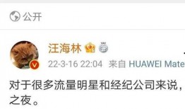 爆料娱乐圈大瓜,揭秘明星背后的惊人真相！